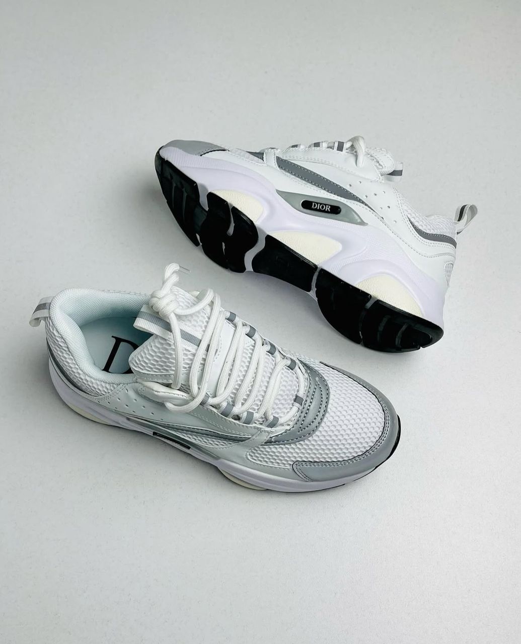 Chaussure Dior